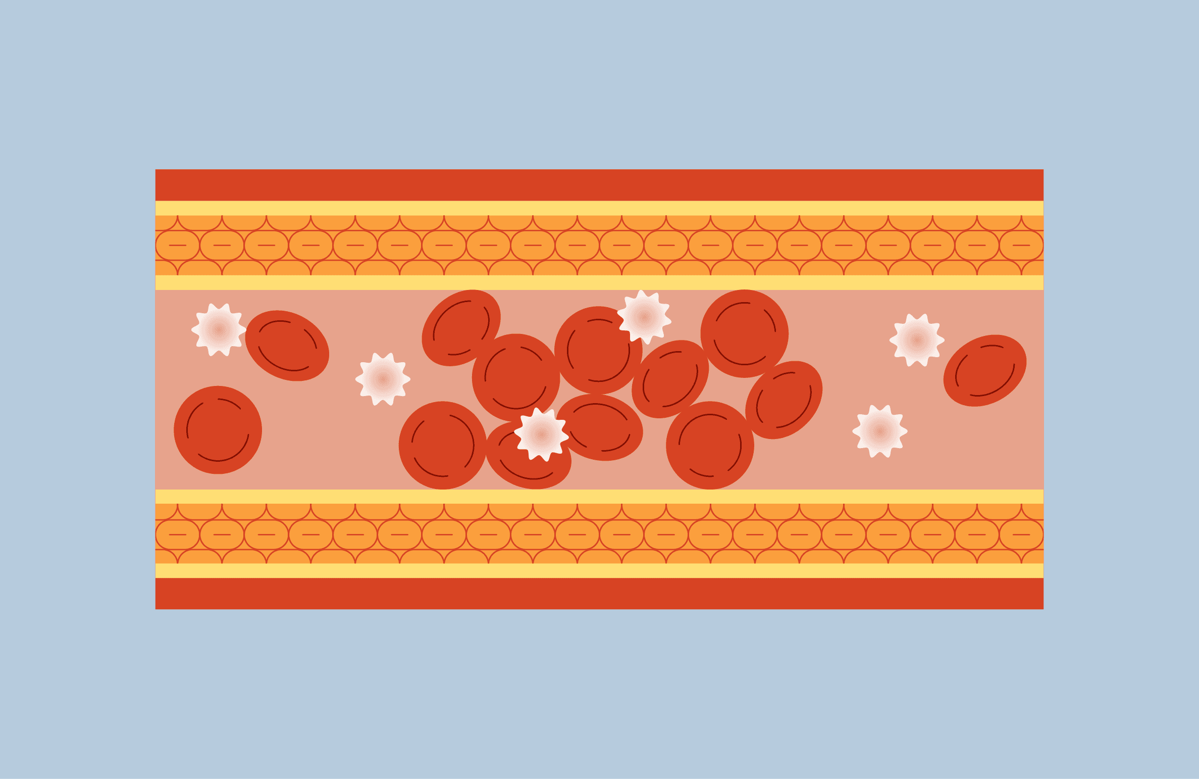 Механизм развития системной склеродермии на клеточном уровне