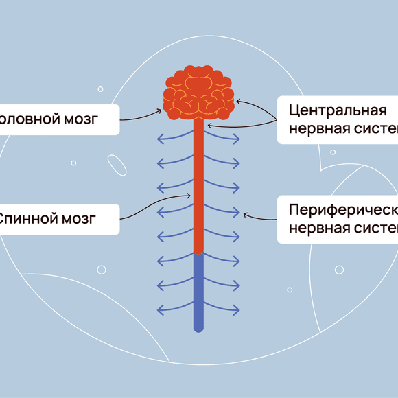 Невропатия и нейропатическая боль при псориатическом артрите